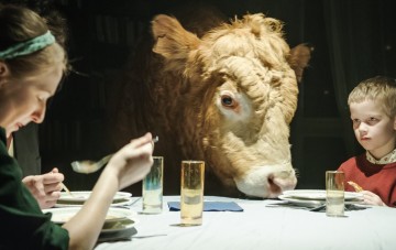 25655-default-katalog_2014_selection-comp_szabadeses_wf-2